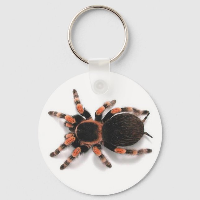 PORTE-CLÉS TARANTULA SPIDER PORTE - CLÉ KEYRING (Recto)