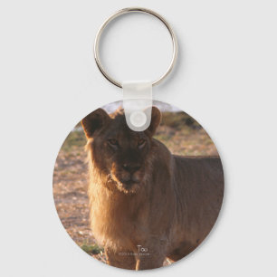 Porte-clés Tau, Lion, Photo
