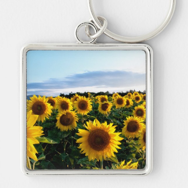 Porte-clés Terrain de tournesol (Devant)