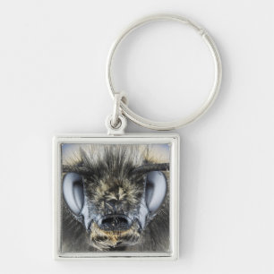 Porte-clés Tête de bourdon