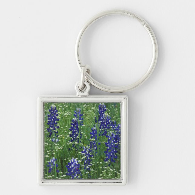 Porte-clés Texas, lac Buchanan. Bluebonnet et sauvage du Texa (Devant)