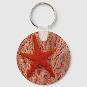 Porte-clés Thaïlande Sea Star Aka Starfish