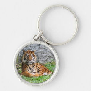 Porte-clés Tiger Chat Stripes Safari Jungle Motif Animal Art