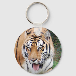 Porte-clés Tiger Friends-010