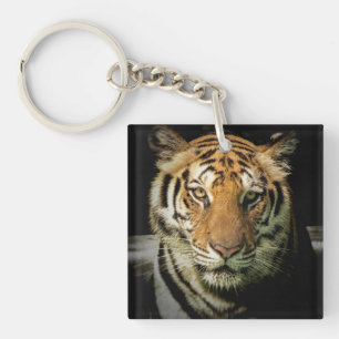 Porte-clés tigre
