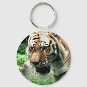 Porte-clés Tigre au porte - clé de zoo de Bronx