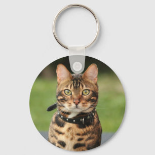 Porte-clés Tigre du Bengale