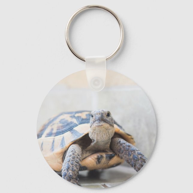 Porte-clés Tortue (Recto)