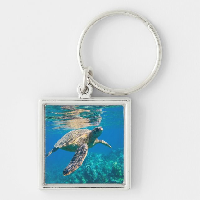 Porte-clés Tortue de mer (Devant)