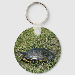 Porte-clés Tortue peinte
