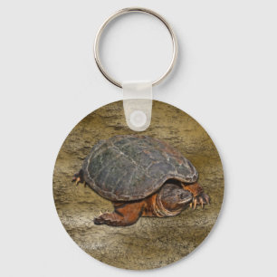 Porte-clés Tortue serpentine Terrapin-lover Cadeau