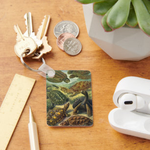 Porte-clés Tortues terrestres et tortues marines vintage par 