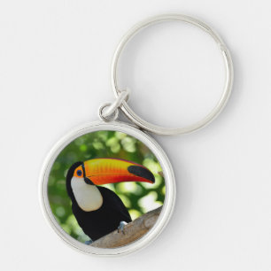 Porte-clés Toucan