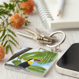 Porte-clés Toucan tropical dans un arbre