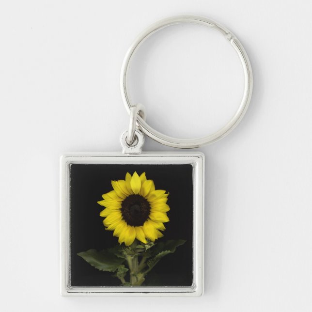 Porte-clés Tournesol 11 (Devant)