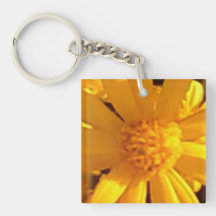 Tournesol à côté simple