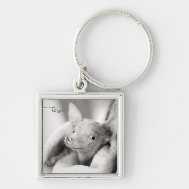 Porte-clés Tout porte - clé de photo de Rosie (Devant)