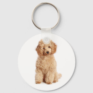 Porte-clés Toy Apricot Poodle Chien Porte - clé d'amour de ch