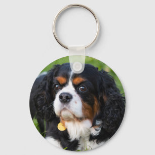 Porte-clés Tri Color Cavalier King Charles Spaniel Dog