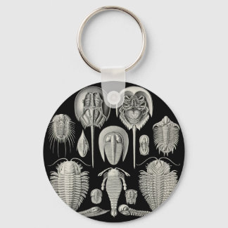 Porte-clés Trilobite !