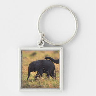 Porte-clés Tronc de progéniture émouvante d'éléphant, Ken