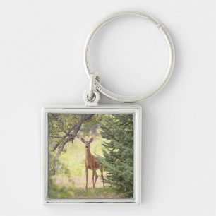 Porte-clés Un cerf solitaire