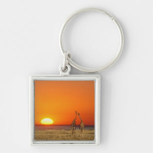 Porte-clés Un couple de Giraffe entre au coucher du soleil, à