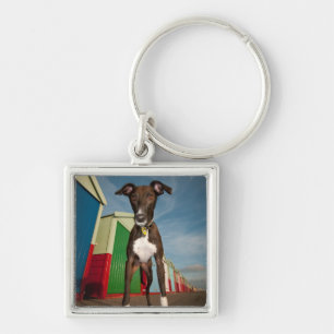 Porte-clés Un Lurcher se tenant devant quelques huttes de