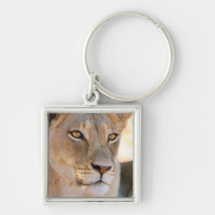 Porte-clés Un portrait d'une lionne regardant au loin