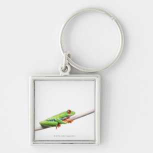 Porte-clés Une grenouille accrochant dessus