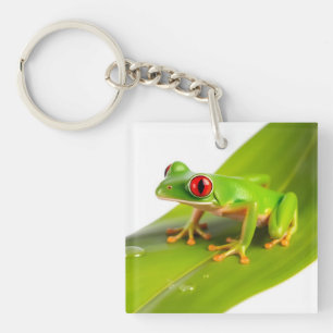 Porte-clés Une grenouille tree frog Redeye