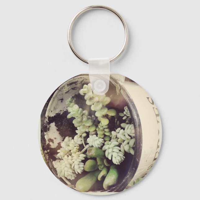 Porte-clés Une tasse remplie de plantes succulents (Recto)