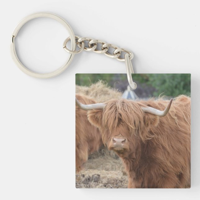 Porte-clés Vache des montagnes (Devant)