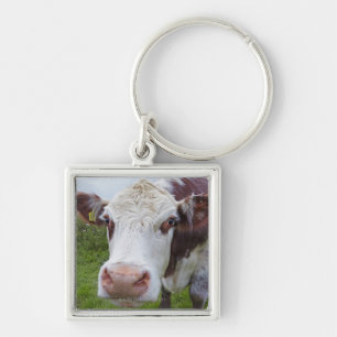 Porte-clés Vache simple peerring dans l'appareil-photo
