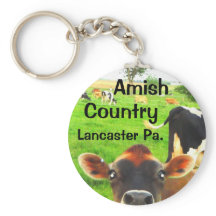Vaches de campagne Amish ! Lancaster