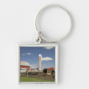 Porte-clés Vaches devant une grange rouge et un silo dans une
