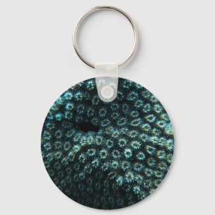 Porte-clés Variole de mer