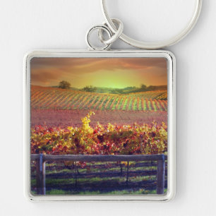 Porte-clés Vignoble