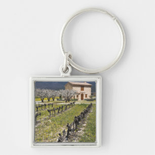 Porte-clés Vignoble en dormance, fleurs de fruit, maison en p
