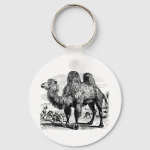 Porte-clés Vintage 1800s Camel -  Egyptian Camels Template