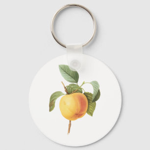Porte-clés Vintage Fruit Food, Calville Apple par Redoute