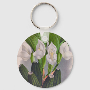 Porte-clés Vintage Orchidée blanche Anguloa Uniflora Lindenia