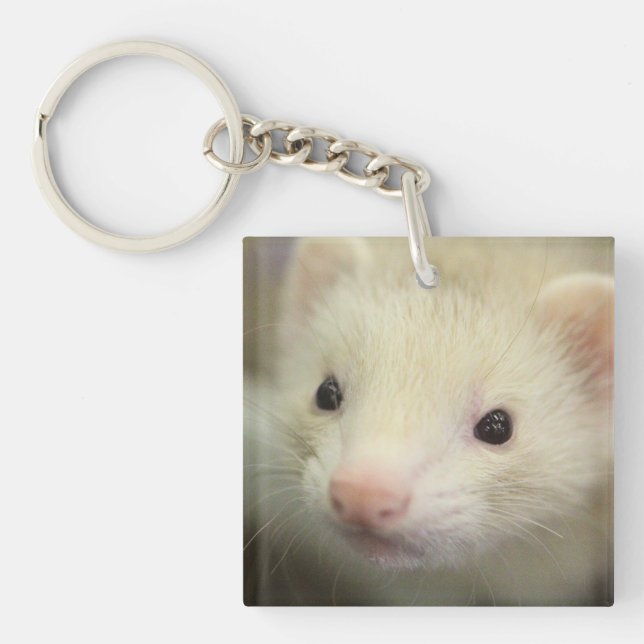 Porte-clés Visage de furet (Devant)
