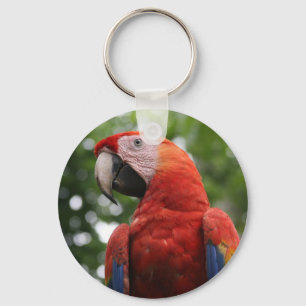 Porte-clés visage macaw
