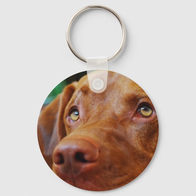 Porte-clés VIZSLA - porte - clé (Recto)