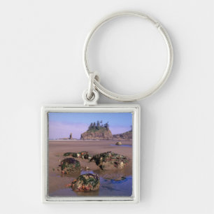Porte-clés WA, PN Olympic, deuxième plage avec des bassins de
