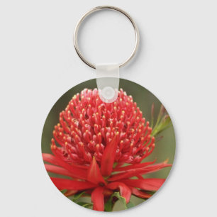 Porte-clés Waratah en fleur, fleurs de l'Australie