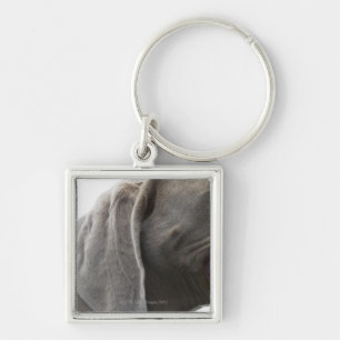 Porte-clés Weimaraner 3