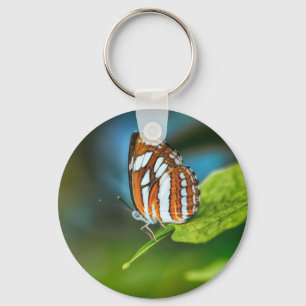 Porte-clés White and Orange Striped Butterfly