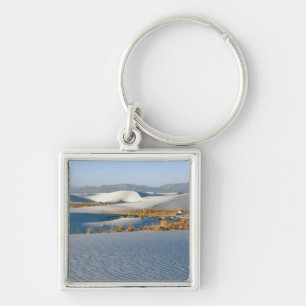 Porte-clés White Sands National Monument, Dunes transversales